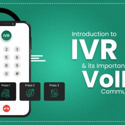Significance of IVR in VoIP Communications