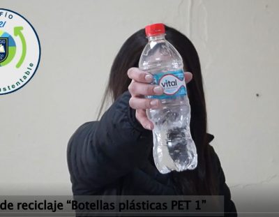 Desafío Reciclaje Botellas Plásticas PET 1